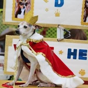 Meet your Posher, Catherine